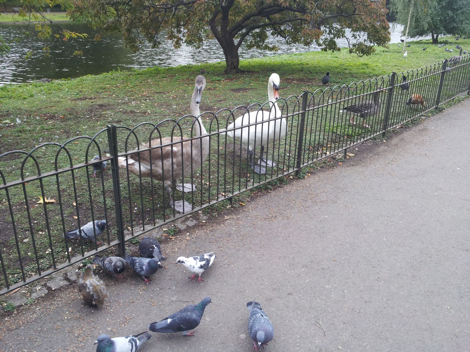 St JAMES'S PARK